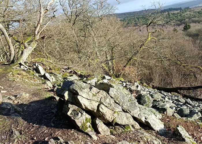 Ruhe Pur Am Golfplatz Stromberg